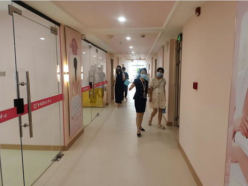 打破傳統，引領未來 標準化母嬰護理服務的變革之路